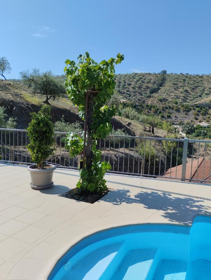 Villa Las Vinas Малага Экстерьер фото